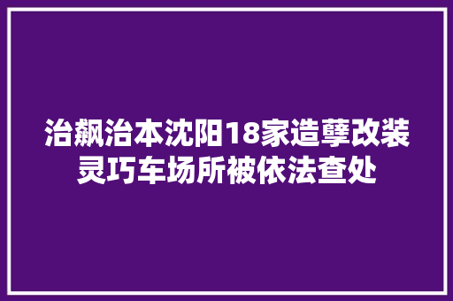 治飙治本沈阳18家造孽改装灵巧车场所被依法查处