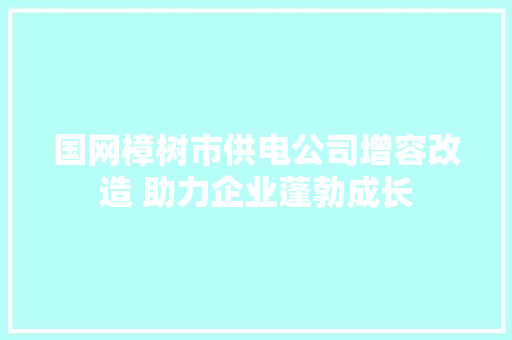 国网樟树市供电公司增容改造 助力企业蓬勃成长