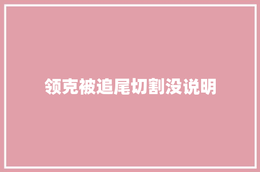 领克被追尾切割没说明