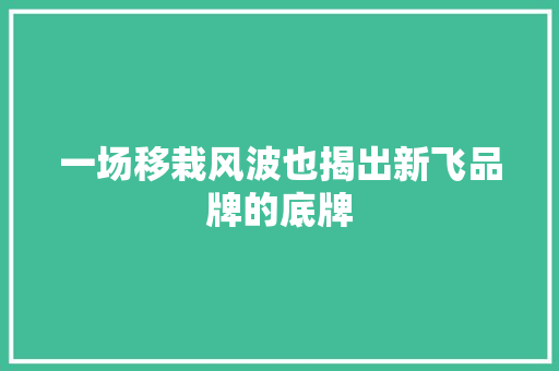 一场移栽风波也揭出新飞品牌的底牌
