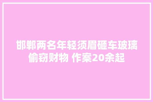 邯郸两名年轻须眉砸车玻璃偷窃财物 作案20余起 汽车知识