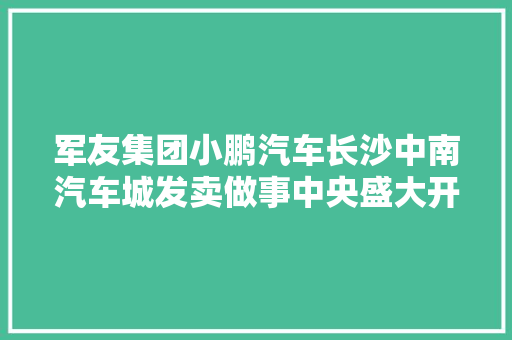 军友集团小鹏汽车长沙中南汽车城发卖做事中央盛大开业