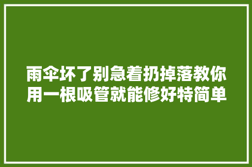 雨伞坏了别急着扔掉落教你用一根吸管就能修好特简单实用