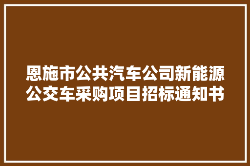 恩施市公共汽车公司新能源公交车采购项目招标通知书记