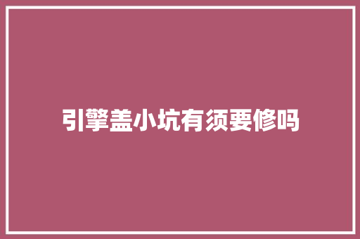 引擎盖小坑有须要修吗