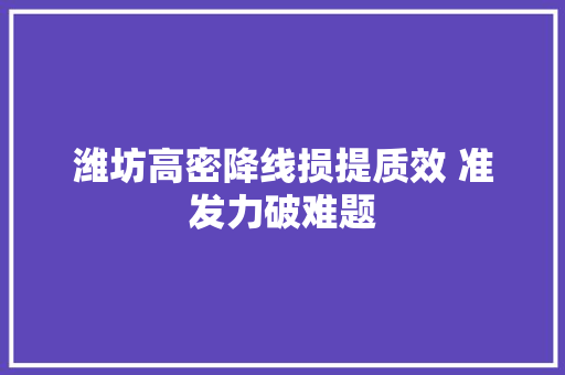 潍坊高密降线损提质效 准发力破难题