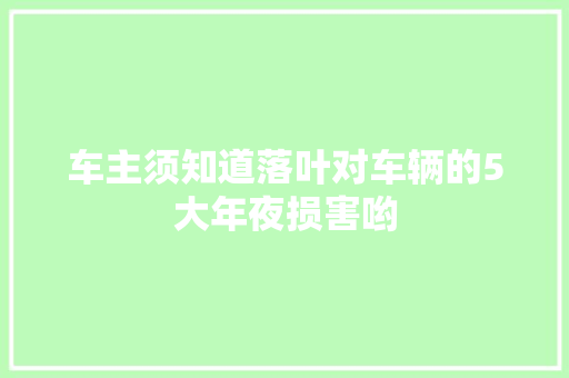 车主须知道落叶对车辆的5大年夜损害哟