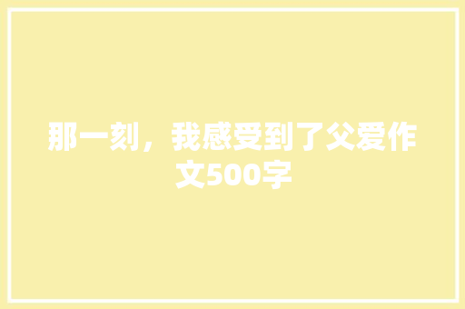 那一刻，我感受到了父爱作文500字