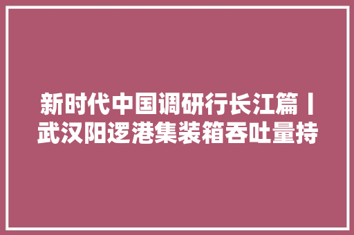 新时代中国调研行长江篇丨武汉阳逻港集装箱吞吐量持续攀升 科技赋能提升功课效率