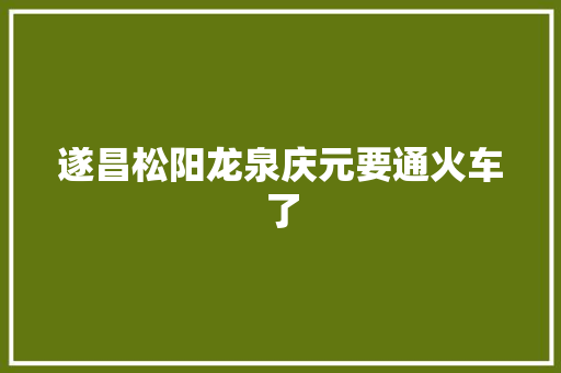 遂昌松阳龙泉庆元要通火车了