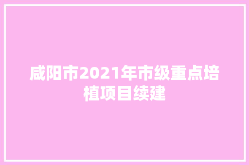 咸阳市2021年市级重点培植项目续建