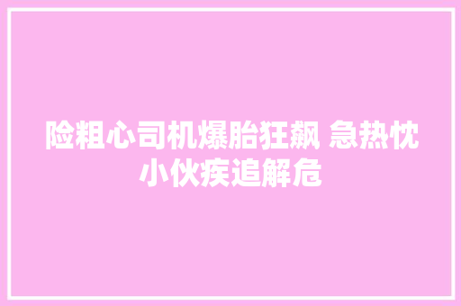 险粗心司机爆胎狂飙 急热忱小伙疾追解危