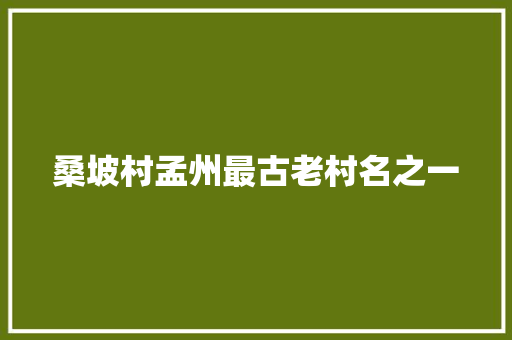 桑坡村孟州最古老村名之一 汽车知识