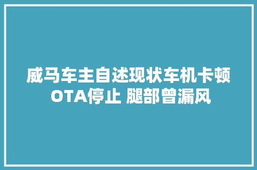 威马车主自述现状车机卡顿 OTA停止 腿部曾漏风