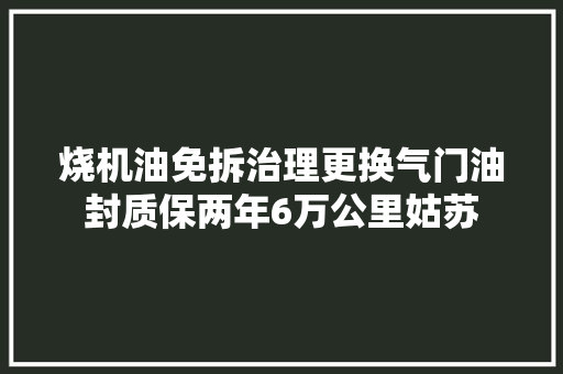 烧机油免拆治理更换气门油封质保两年6万公里姑苏
