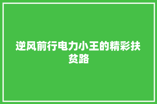 逆风前行电力小王的精彩扶贫路
