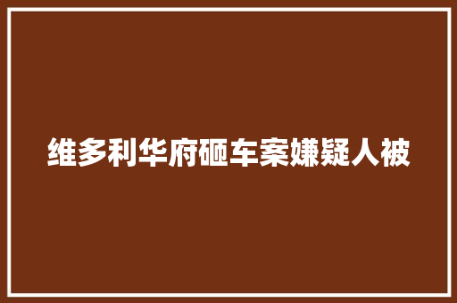 维多利华府砸车案嫌疑人被