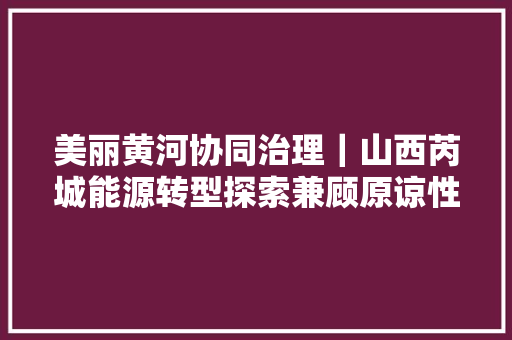 美丽黄河协同治理｜山西芮城能源转型探索兼顾原谅性与韧性