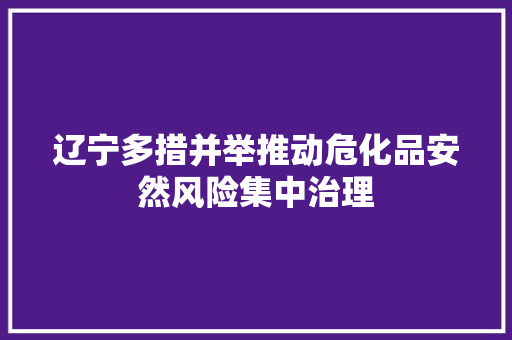 辽宁多措并举推动危化品安然风险集中治理