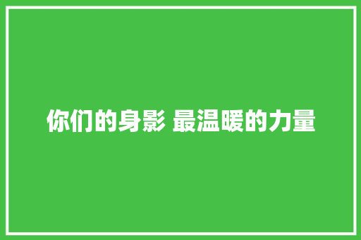 你们的身影 最温暖的力量
