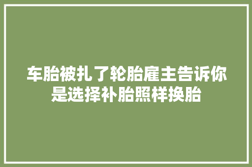 车胎被扎了轮胎雇主告诉你是选择补胎照样换胎