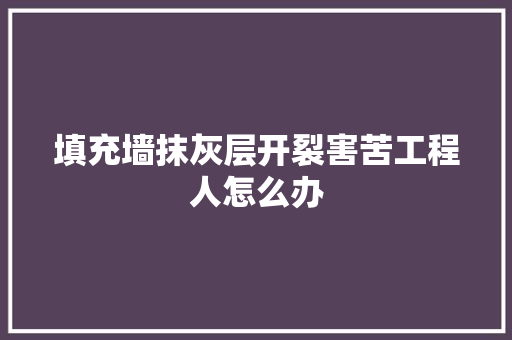 填充墙抹灰层开裂害苦工程人怎么办