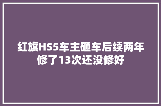 红旗HS5车主砸车后续两年修了13次还没修好