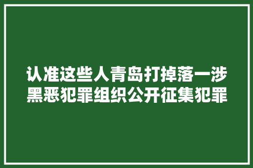 认准这些人青岛打掉落一涉黑恶犯罪组织公开征集犯罪线索