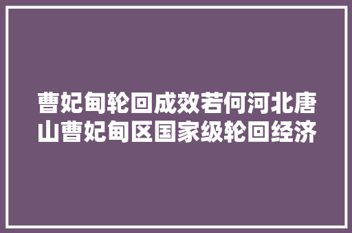 曹妃甸轮回成效若何河北唐山曹妃甸区国家级轮回经济示范区成长查询访问