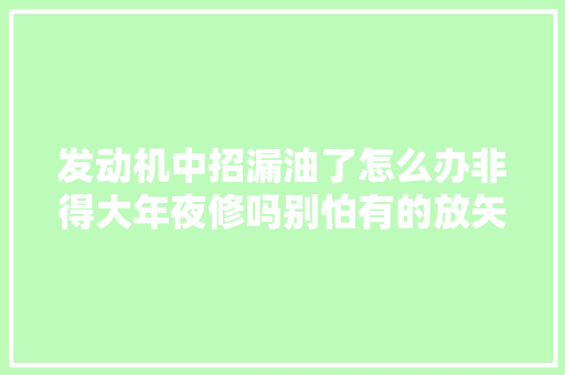 发动机中招漏油了怎么办非得大年夜修吗别怕有的放矢