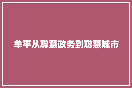 牟平从聪慧政务到聪慧城市