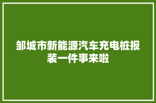 邹城市新能源汽车充电桩报装一件事来啦