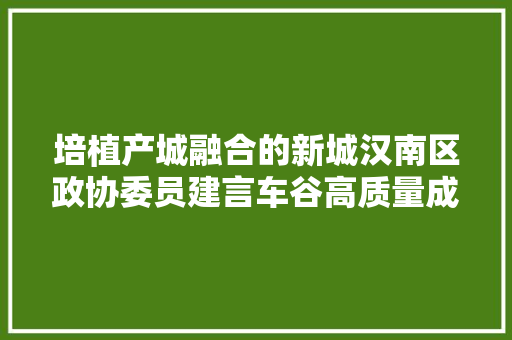 培植产城融合的新城汉南区政协委员建言车谷高质量成长