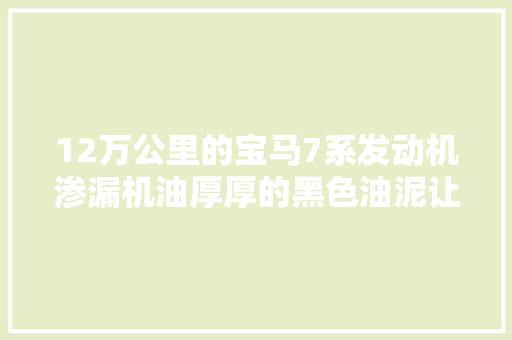 12万公里的宝马7系发动机渗漏机油厚厚的黑色油泥让车主担忧