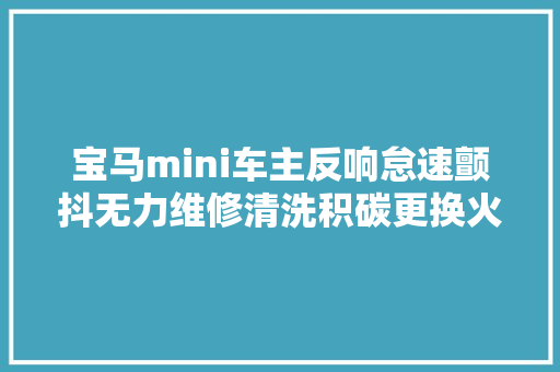 宝马mini车主反响怠速颤抖无力维修清洗积碳更换火花塞