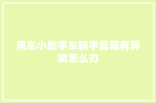 用车小助手车辆手套箱有异响怎么办