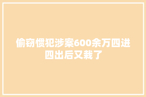 偷窃惯犯涉案600余万四进四出后又栽了