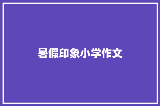 暑假印象小学作文