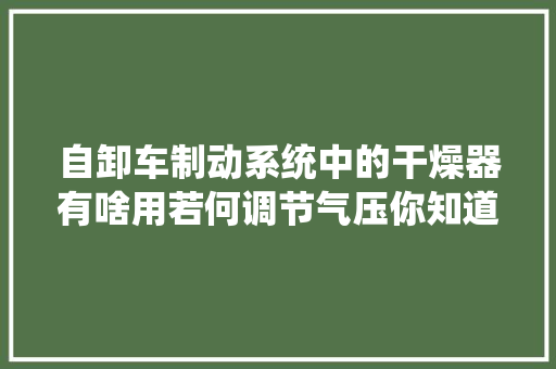 自卸车制动系统中的干燥器有啥用若何调节气压你知道吗