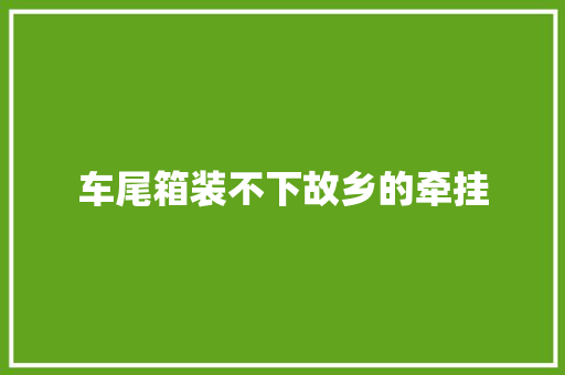 车尾箱装不下故乡的牵挂