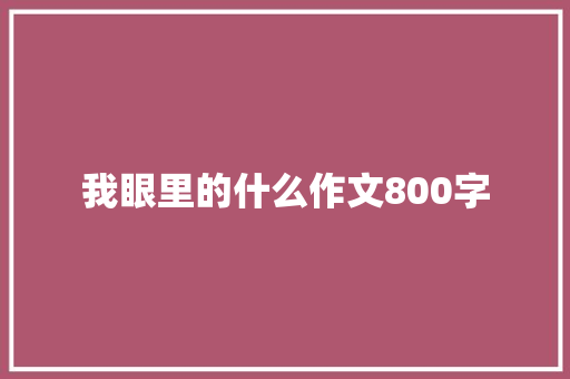 我眼里的什么作文800字