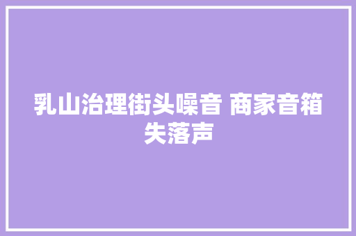 乳山治理街头噪音 商家音箱失落声