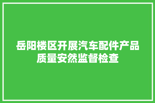 岳阳楼区开展汽车配件产品质量安然监督检查