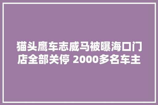 猫头鹰车志威马被曝海口门店全部关停 2000多名车主售后维保难