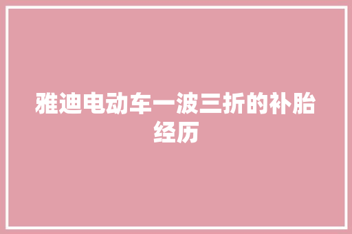 雅迪电动车一波三折的补胎经历