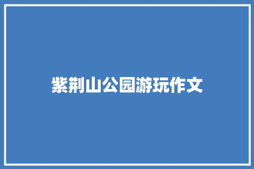 紫荆山公园游玩作文