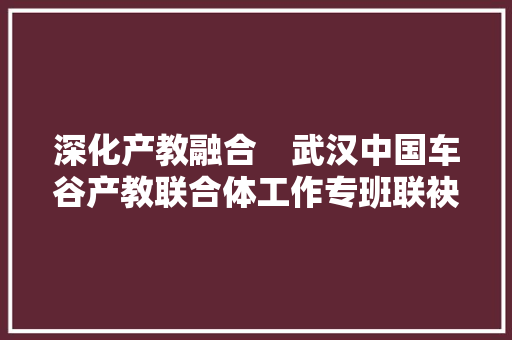 深化产教融合　武汉中国车谷产教联合体工作专班联袂高校走进路特斯