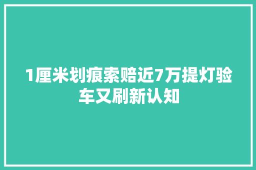 1厘米划痕索赔近7万提灯验车又刷新认知