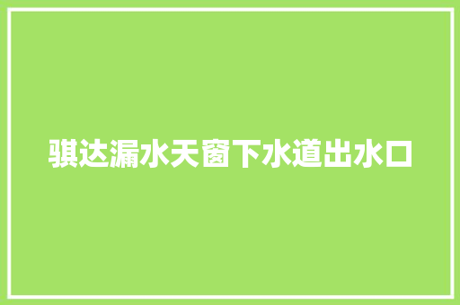 骐达漏水天窗下水道出水口