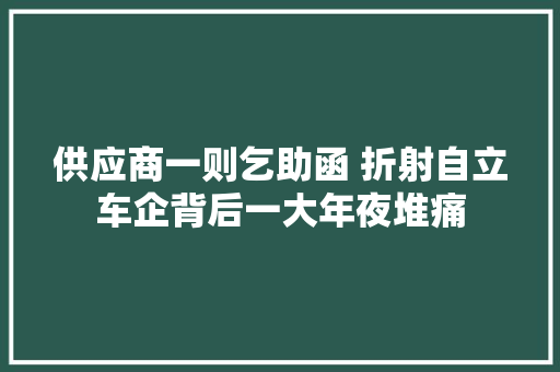 供应商一则乞助函 折射自立车企背后一大年夜堆痛